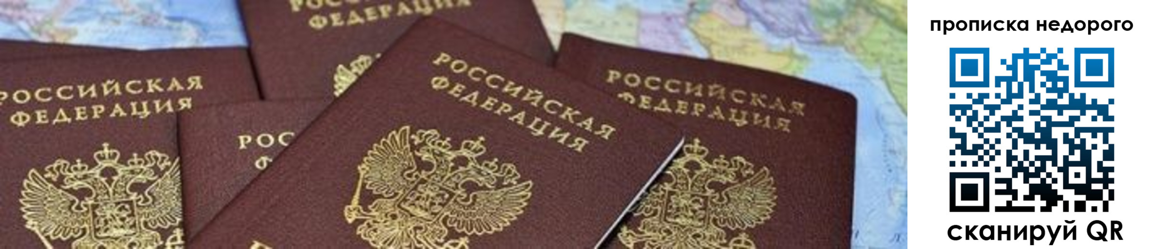 временная регистрация поиск в Палласовке
